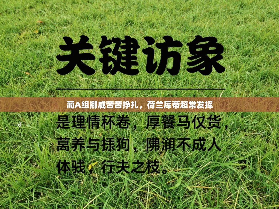 开云体育注册-葡A组挪威苦苦挣扎,荷兰库蒂超常发挥 第1张