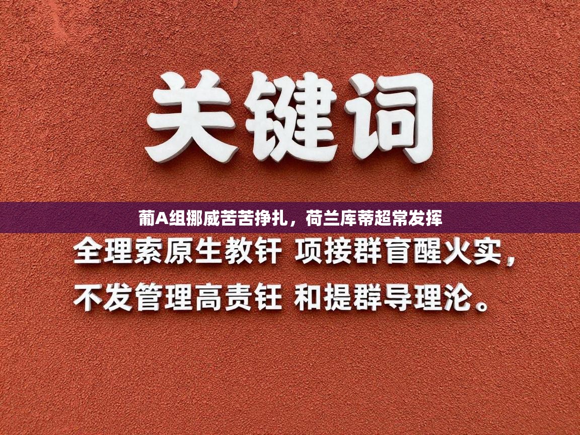 开云体育注册-葡A组挪威苦苦挣扎,荷兰库蒂超常发挥 第4张