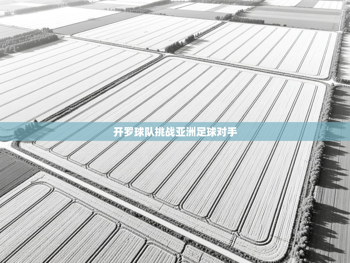 开云体育视频直播低延迟-开罗球队挑战亚洲足球对手  第2张